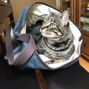 Meet your Posher, Victoria